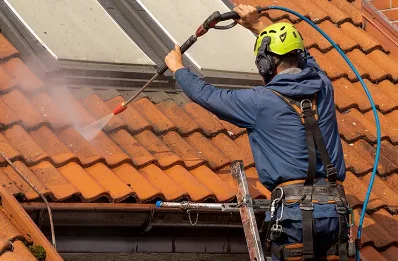 Démoussage et hydrofuge de toiture à Mongauzy